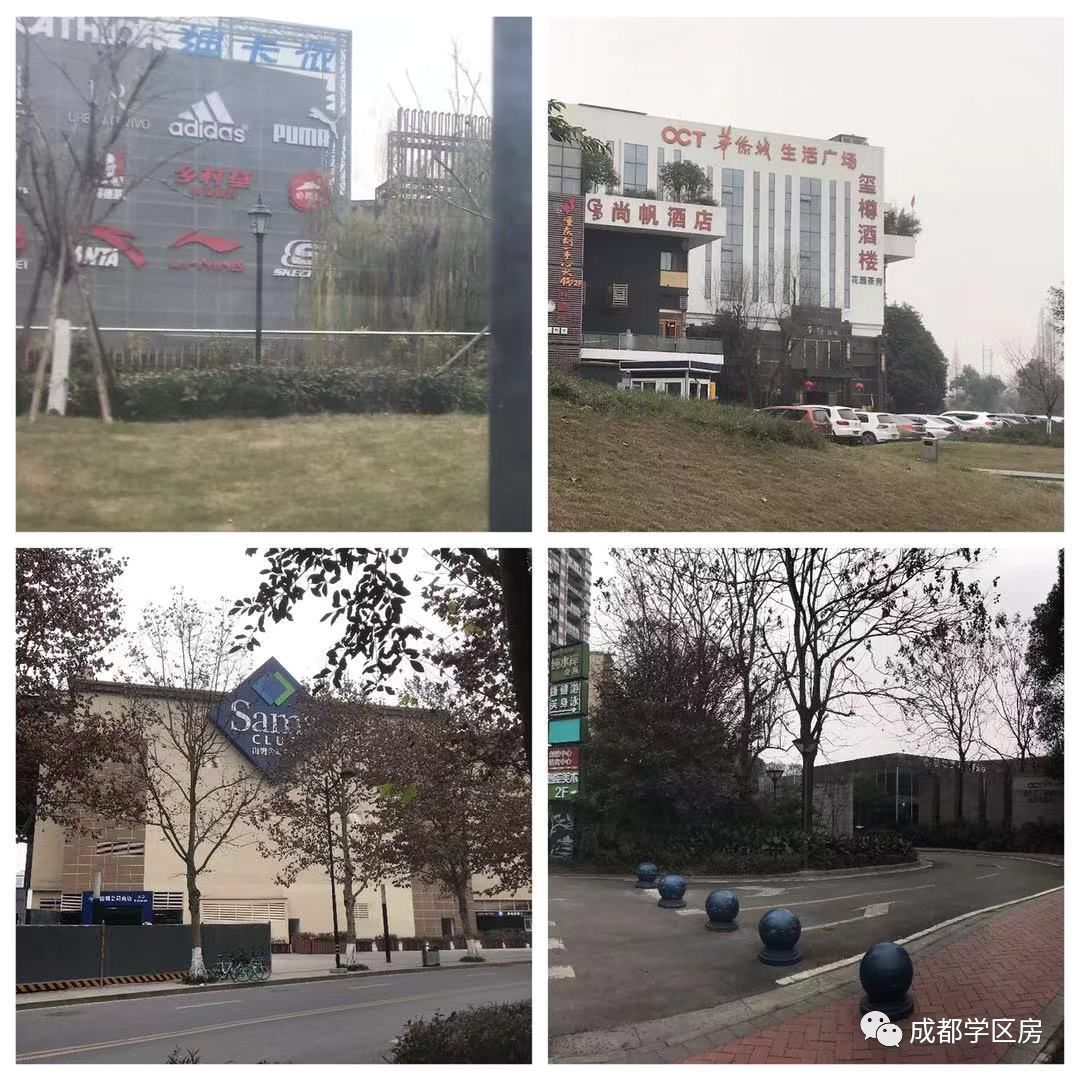 华侨城小学配套什么中学,华侨城对口小学