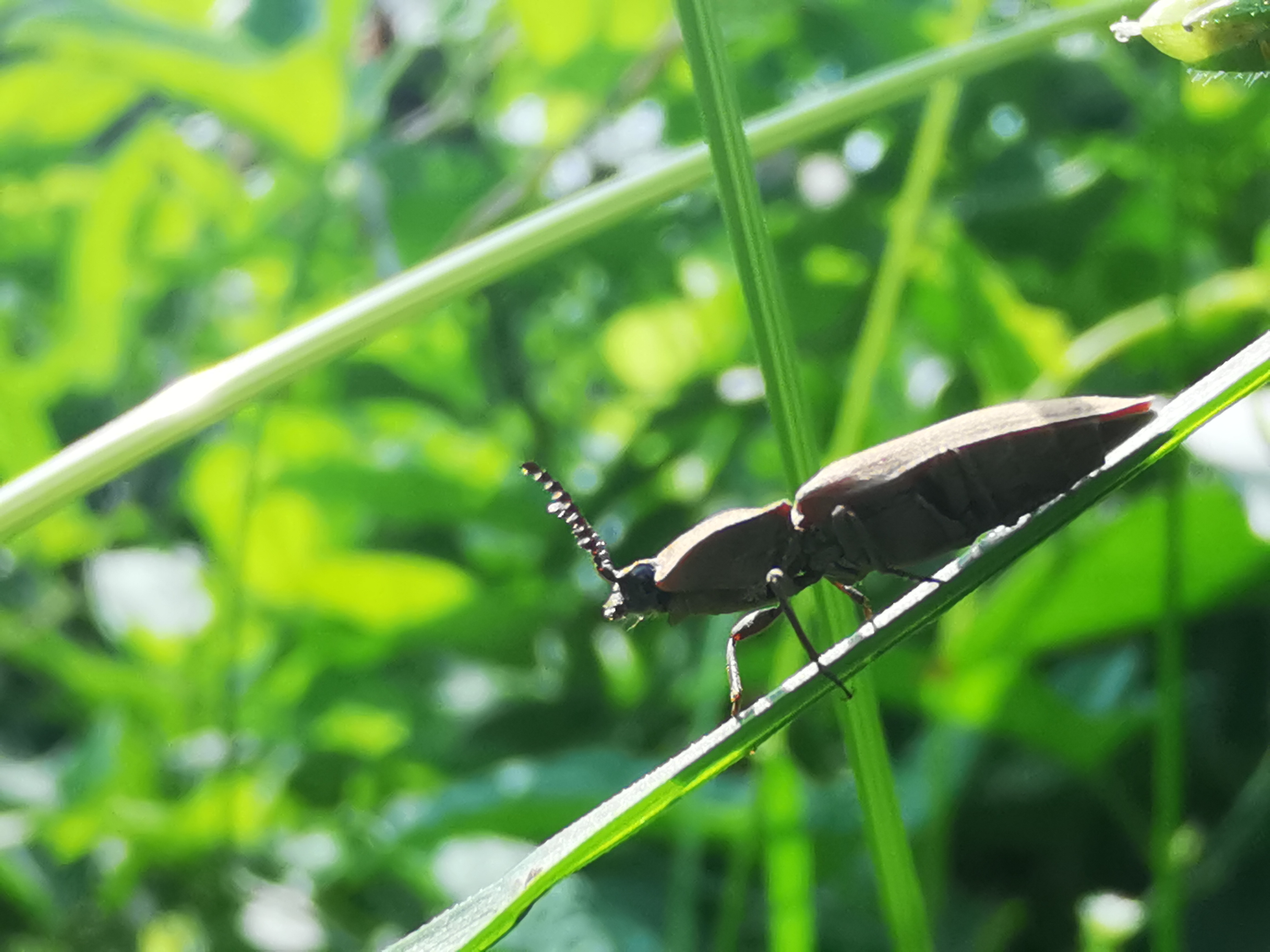 鐢樿柉铓佽薄鍗卞,鐢樿柉铓佽薄鐥囩姸