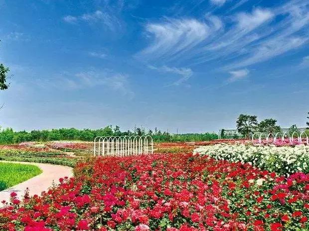 京郊好玩的,京郊最值得旅游的地方