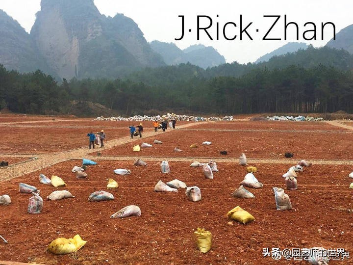 怎样种植草坪技术,果岭草坪的种植养护方法及技巧