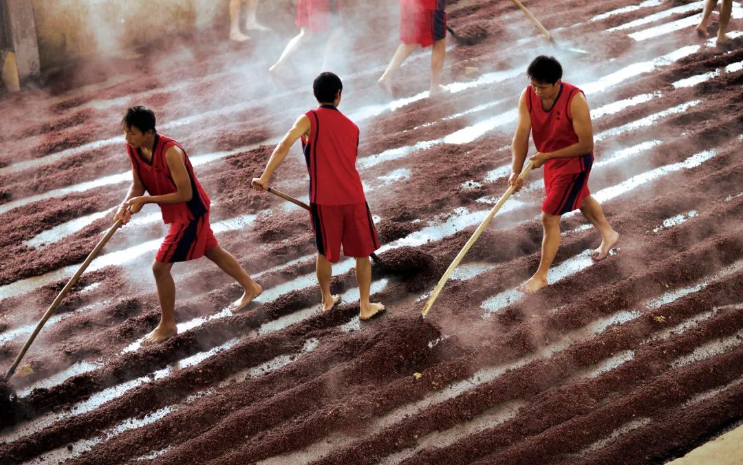 郎酒哪种酒值得收藏,贵州十大酱香名酒郎酒