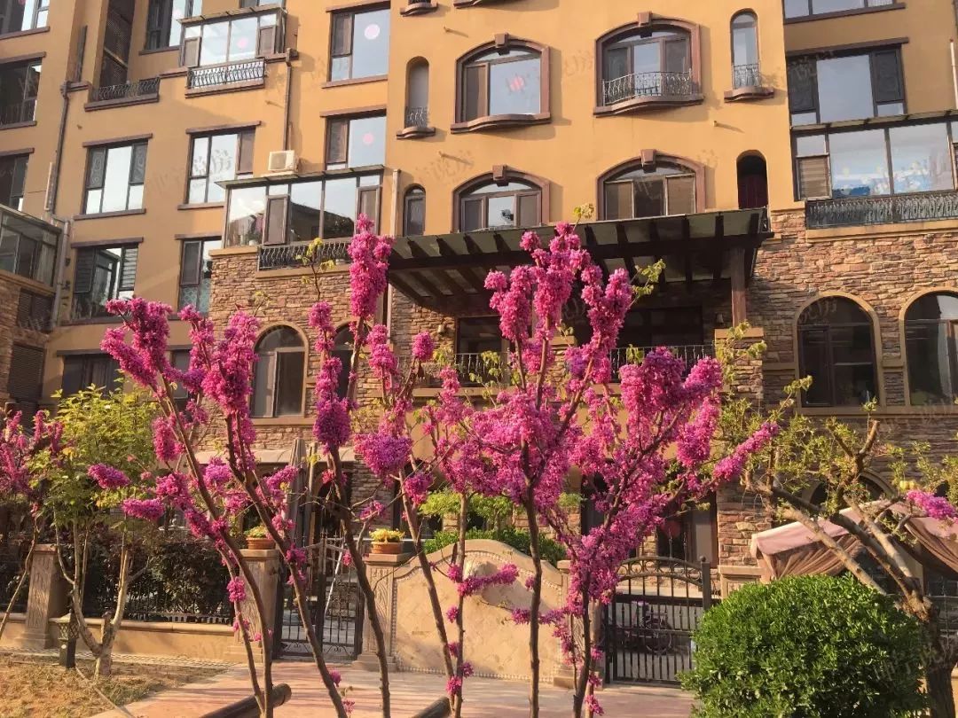 实探新楼市,坤宁说房值得买吗