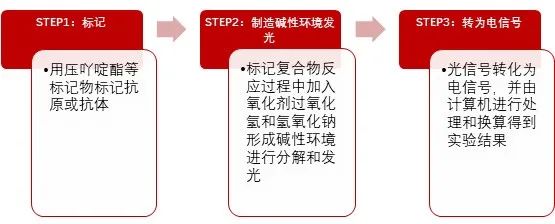2023年达到500亿的“化学发光”赛道，都有哪些国产玩家？