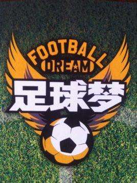 足球成长纪念册,足球少年养成记纪录片