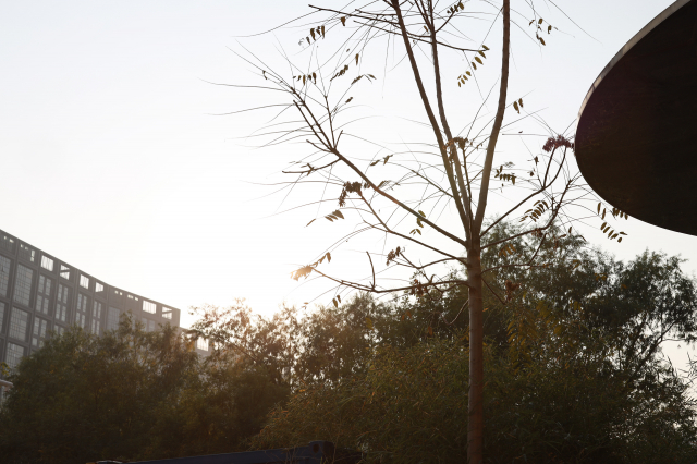 佳能50mmf1.4usm镜头测评,佳能rf50mmf1.2镜头