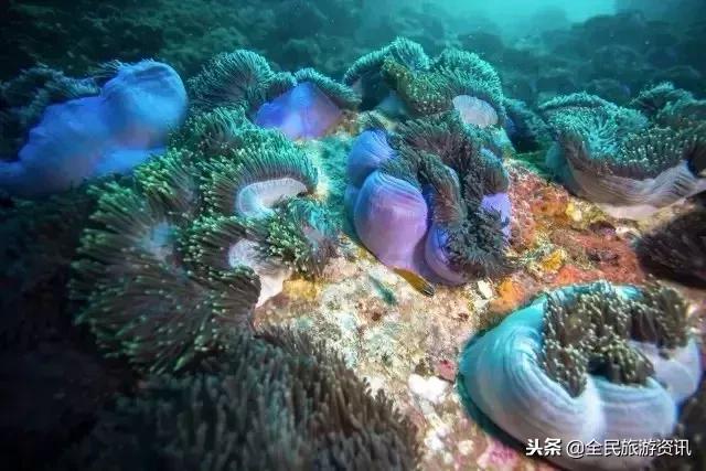 这个藏着绝美海滩和热气球的东南亚小国说走就走！