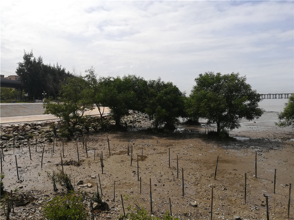 深圳宝安固戍高档写字楼,深圳宝安固戍附近写字楼