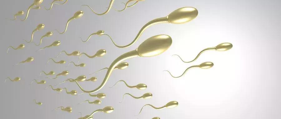 精子活力低怎么补肾,男性精子活力差补什么