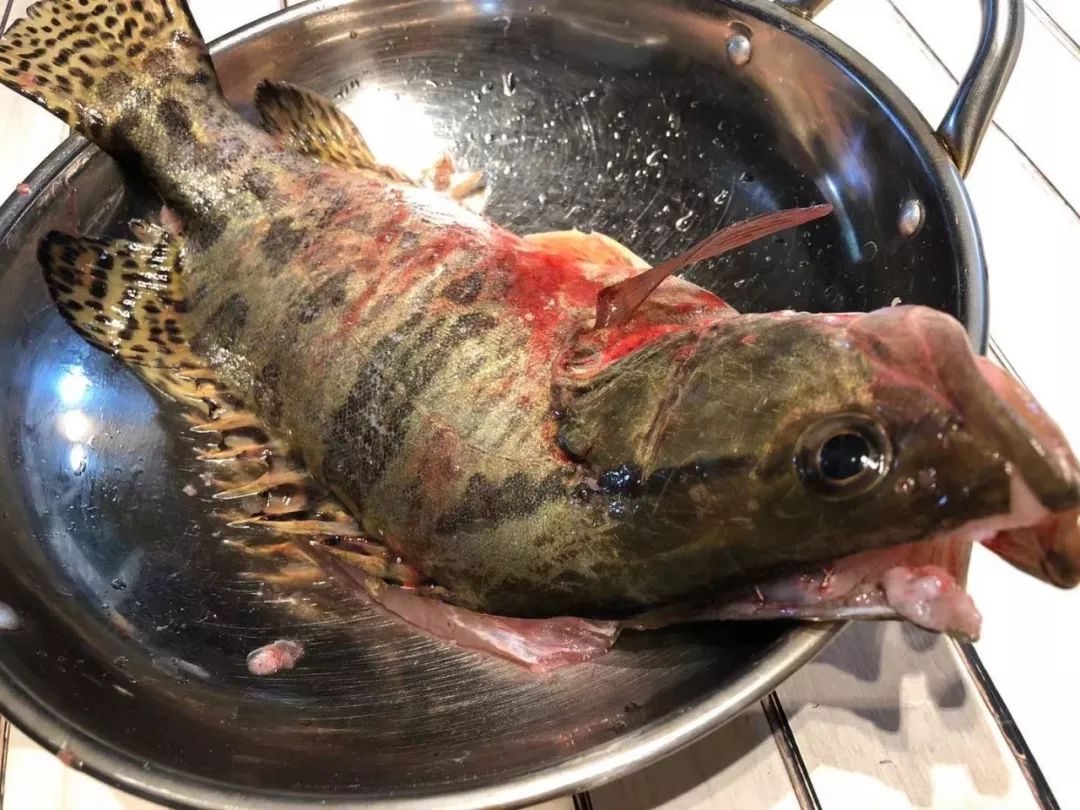 清蒸鳜鱼经典做法,广式葱油蒸鳜鱼