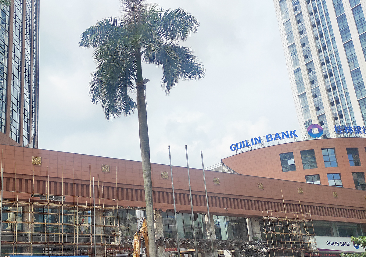 广西北海真龙大酒店,北海即将开业的酒店万豪