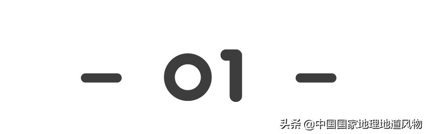 中国人什么时候开始嗑瓜子的,中国人什么年代嗑瓜子