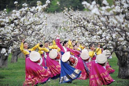 辽宁体育实力排名,辽宁体育精神有多强