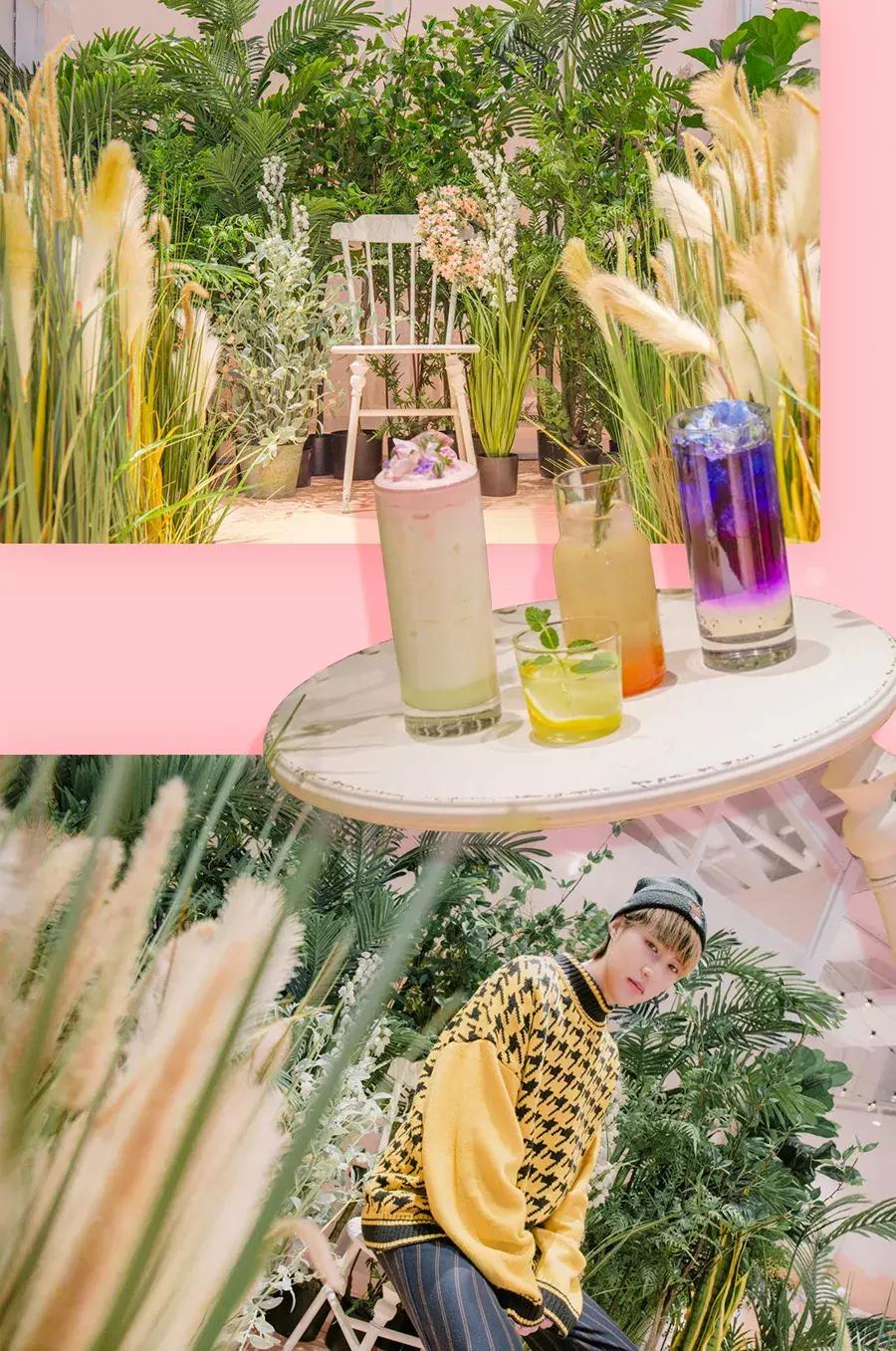 撩炸日韩少女心！风靡韩国的「花草系」咖啡店，韩国明星都爱去！