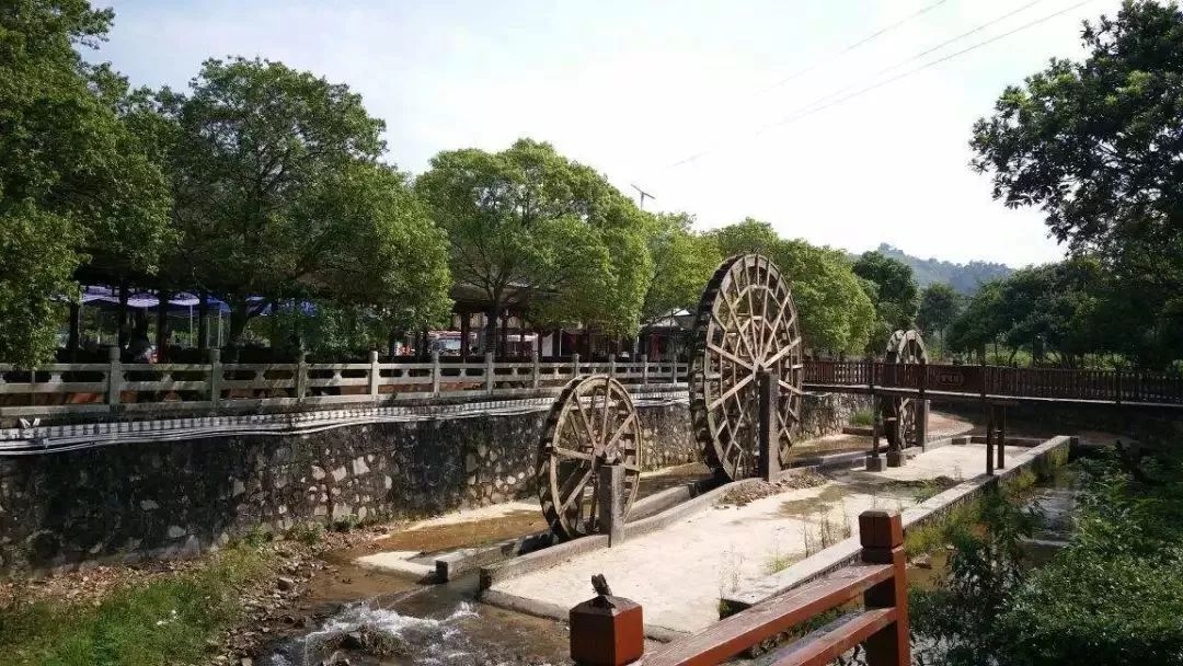 广州隐藏着一个碉楼村,广州有哪些隐藏的景点