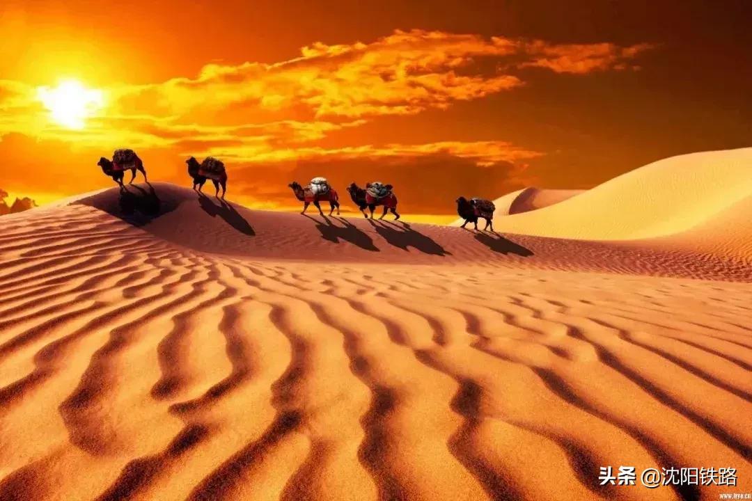 辽宁草原旅游专列,辽宁火车专列去草原