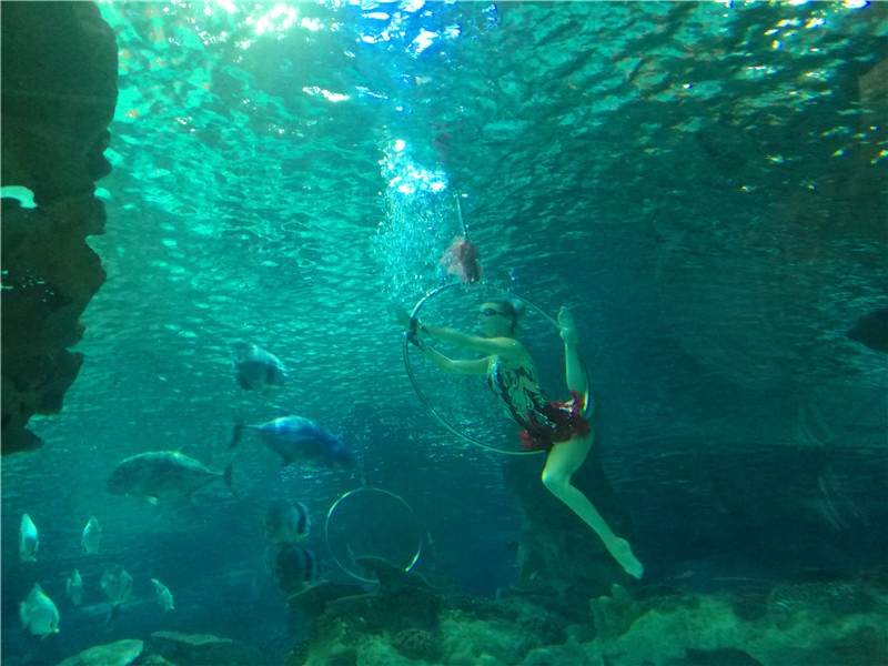富国海底世界一日游,游富国海底世界