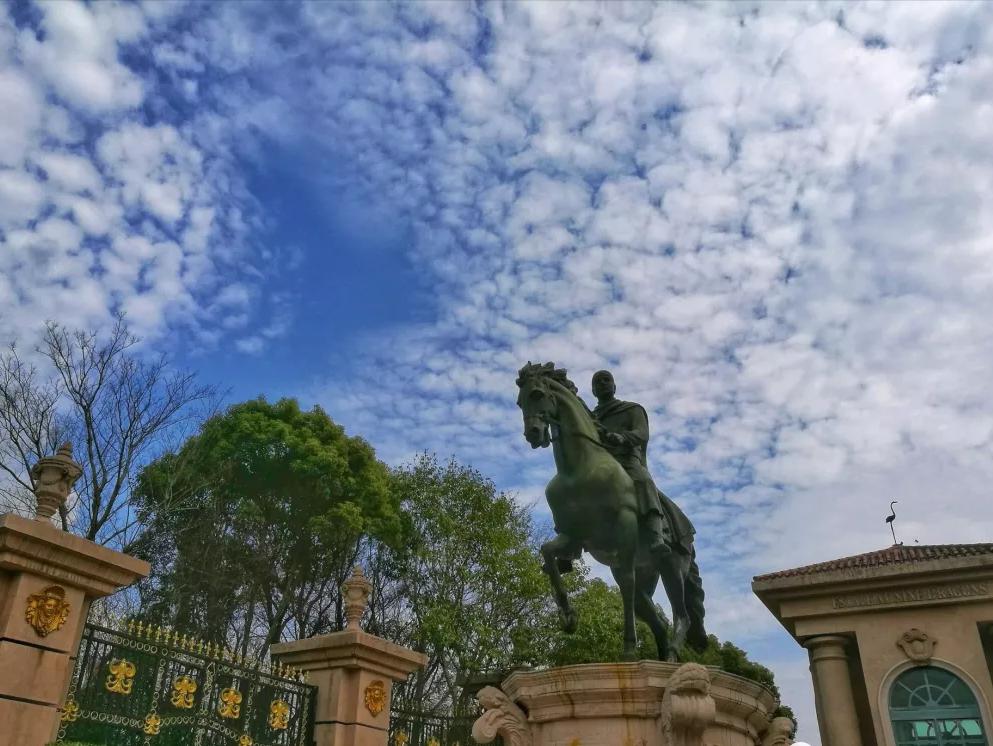 血常规炎症主要看什么指标,免疫治疗血常规