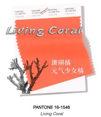 春夏必备的口红是这几支,春夏必备的6款口红有哪些