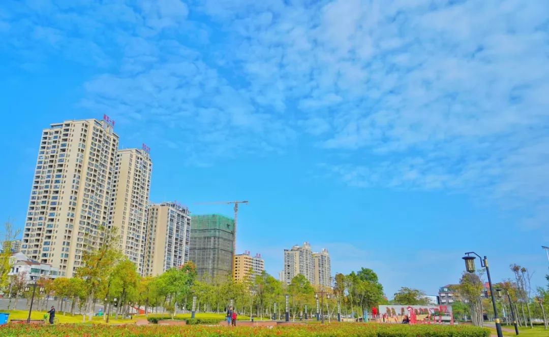 忘了ta吧原版视频,忘了ta吧