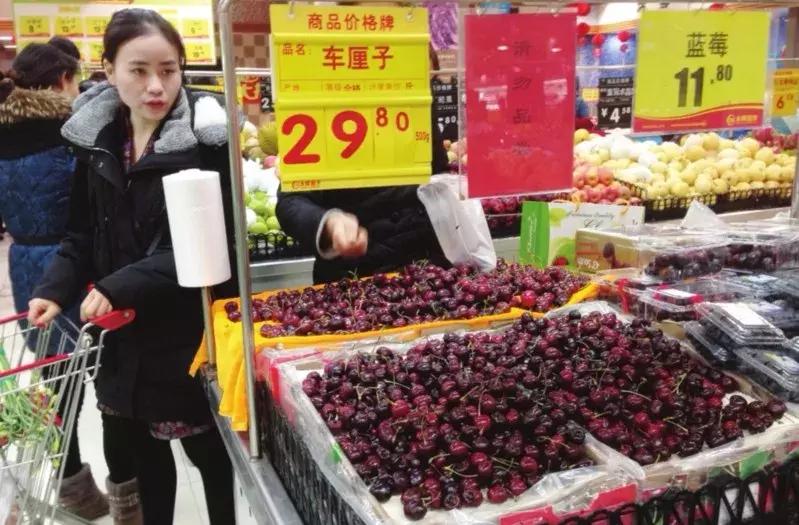 樱桃测评博主,樱桃测评