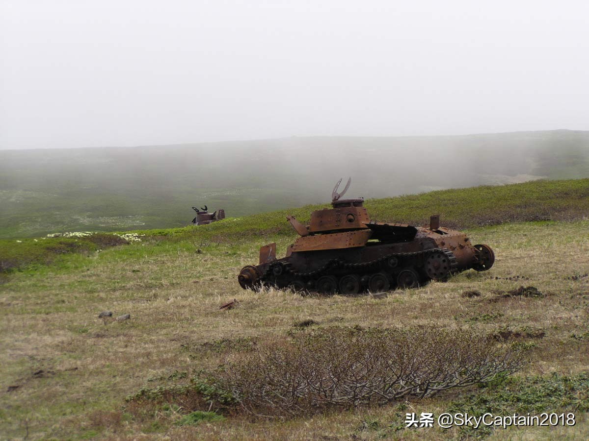 借刀杀人~1945年的草裙舞计划