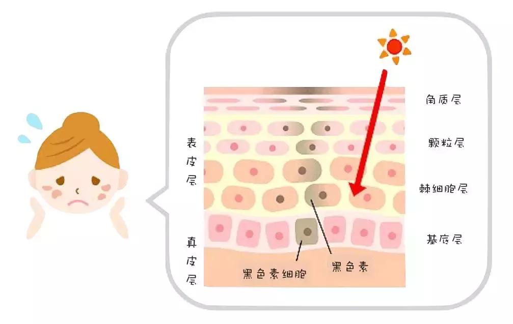 出血点形成的色斑,色斑是怎么形成的视频