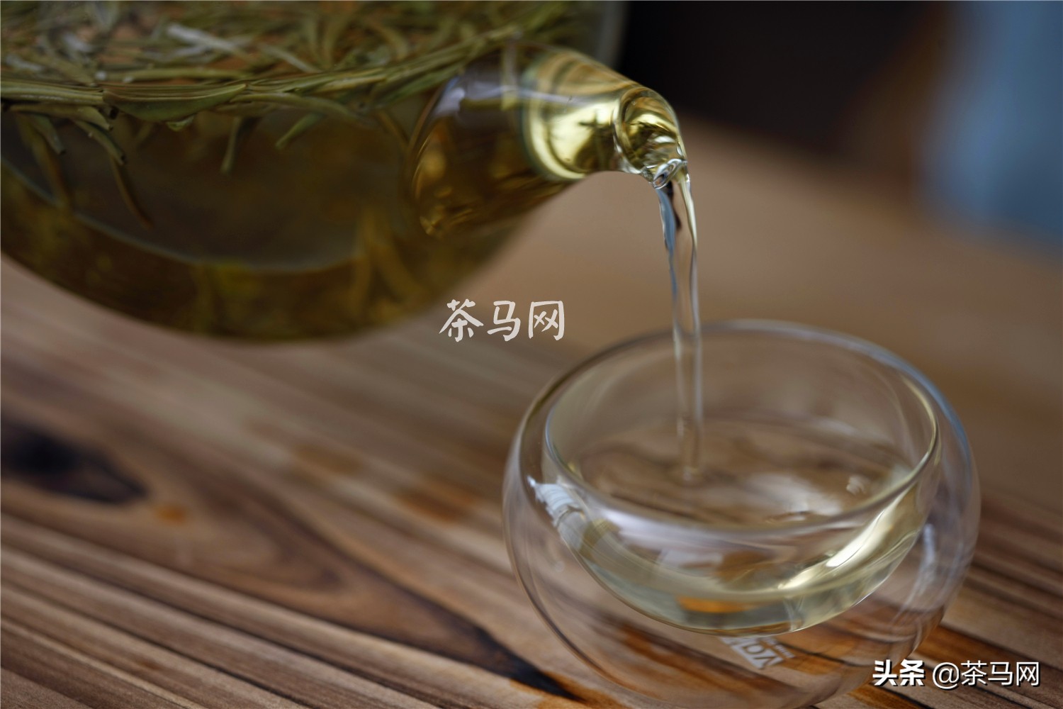 冷清世界里的一抹青春盎然——绿茶
