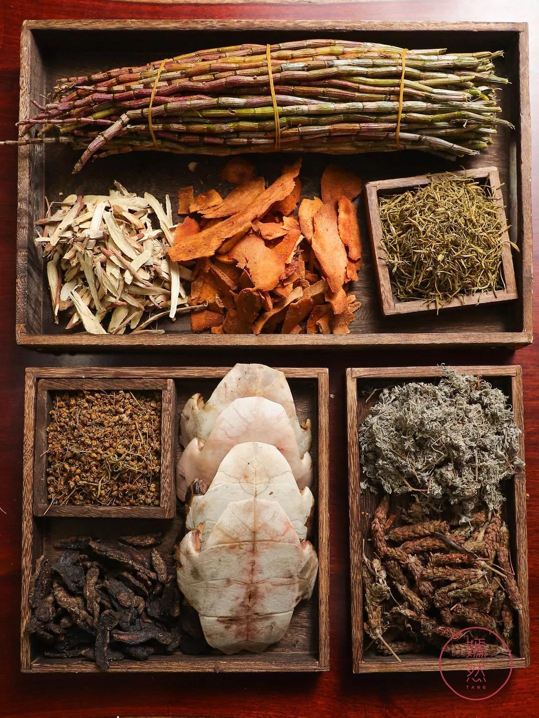 真正有龟的龟苓膏,龟苓膏新发现