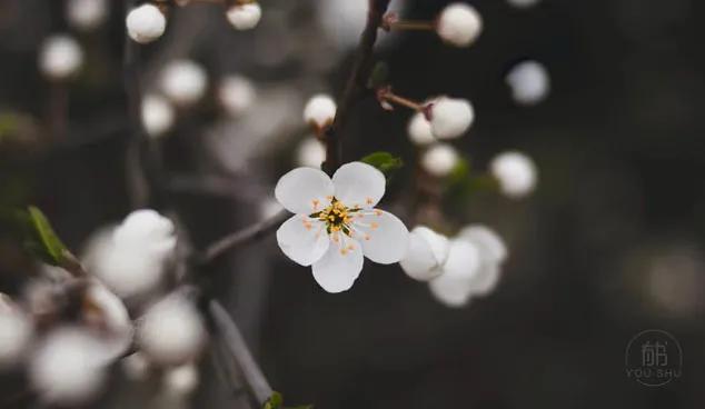 一个人成熟的标志就是明白99%的事,一个人的成熟的四大标志