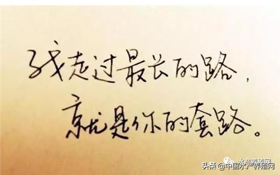 帆布池养殖需要注意什么,帆布池养殖要注意哪些