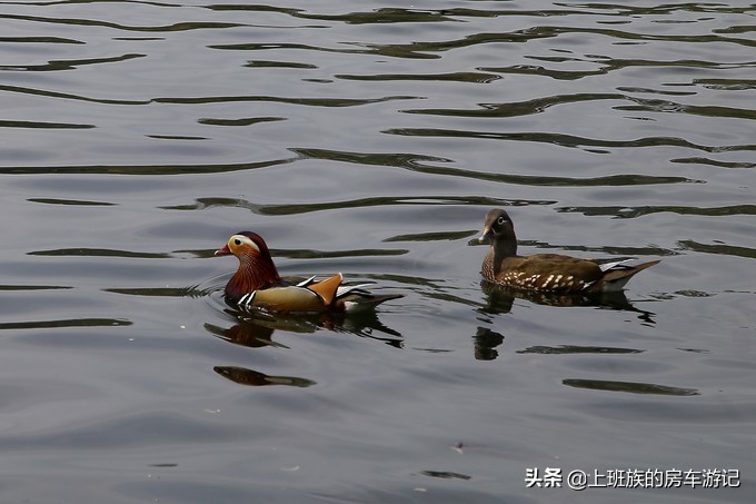 周末微旅行：秦望山麓访名校，白沙堤岸醉桃柳（第二季）