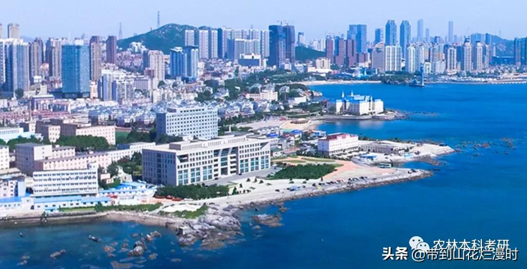 考研双非院校专业推荐,考研大学双非推荐