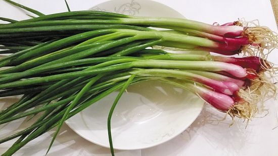 大葱能吃吗有什么好处,大葱吃多了嘴里发涩怎么办