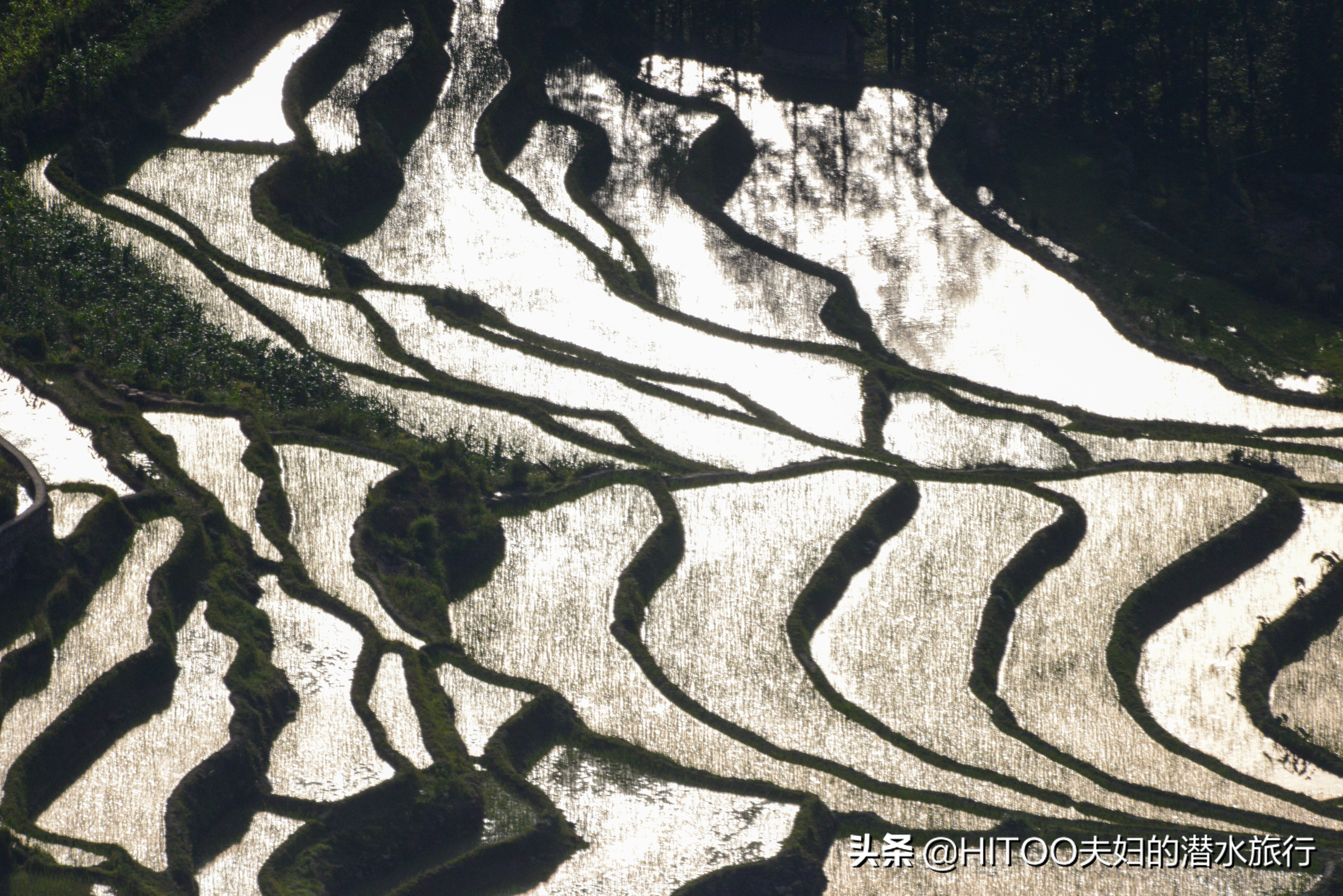 不花钱看元阳梯田自驾攻略,元阳梯田自驾游攻略