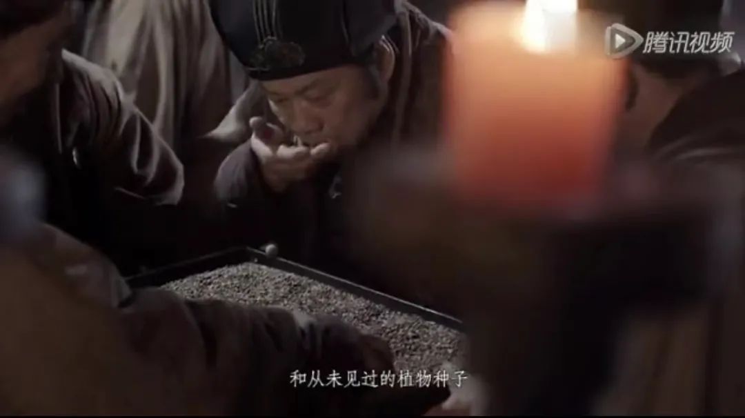 我国历史上“代购第一人”张骞,都带回了哪些西域宝贝?