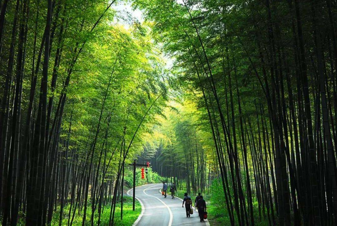 瀹夊悏绔规捣,瀹夊悏绔规捣椋庢櫙