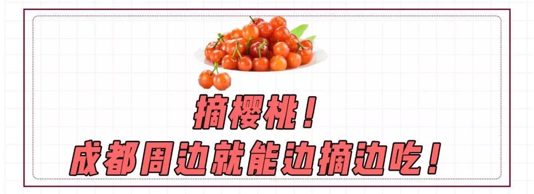 对不起,成都人没有“恩桃儿自由”!