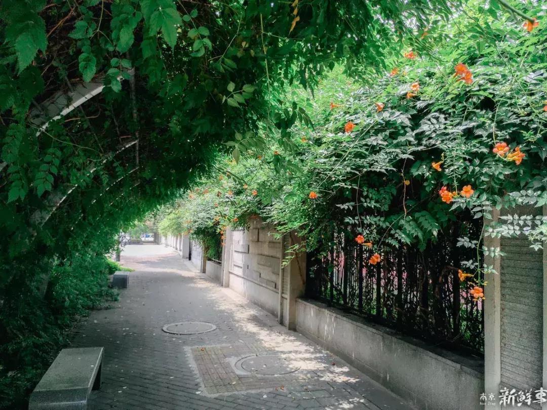 中华中学高中,中华中学