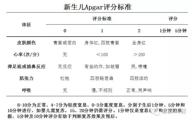 小朋友刚出生,刚出生的小孩样子