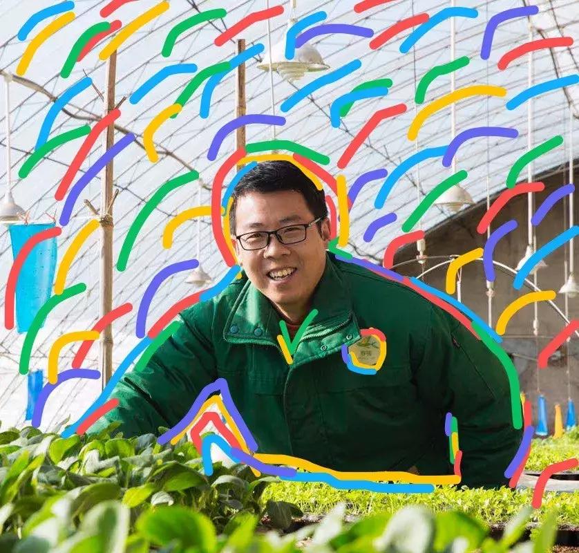 在大自然当中寻找有机蔬菜,为大家采摘绝对新鲜的有机蔬菜