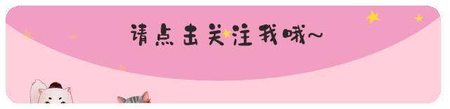 新手铲屎官养猫必备清单,养猫必备神器猫咪用品超便宜