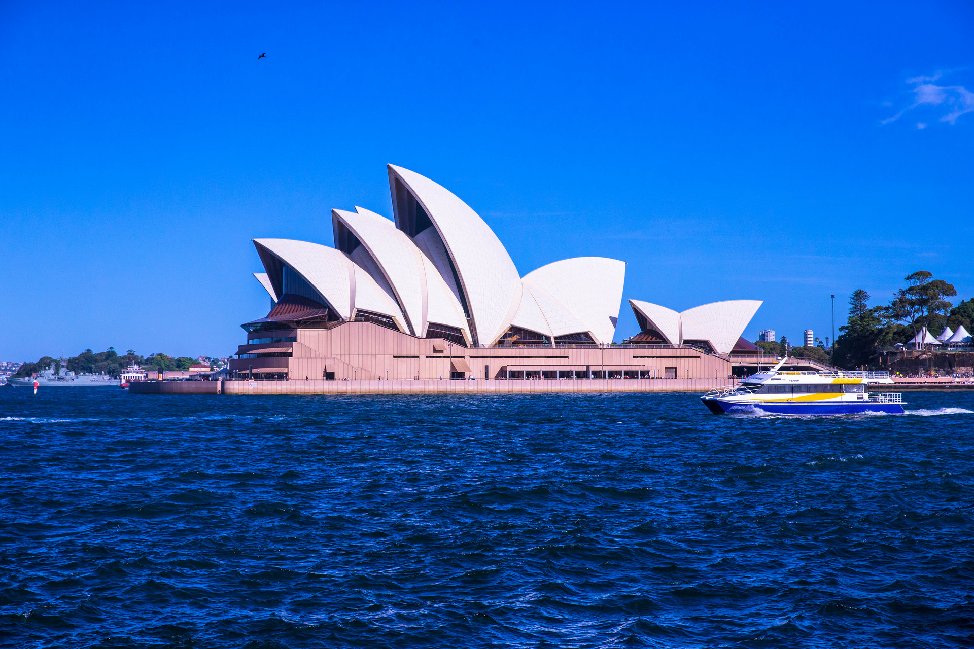 携带濒危动植物及其制品进境,澳大利亚入境签证新规