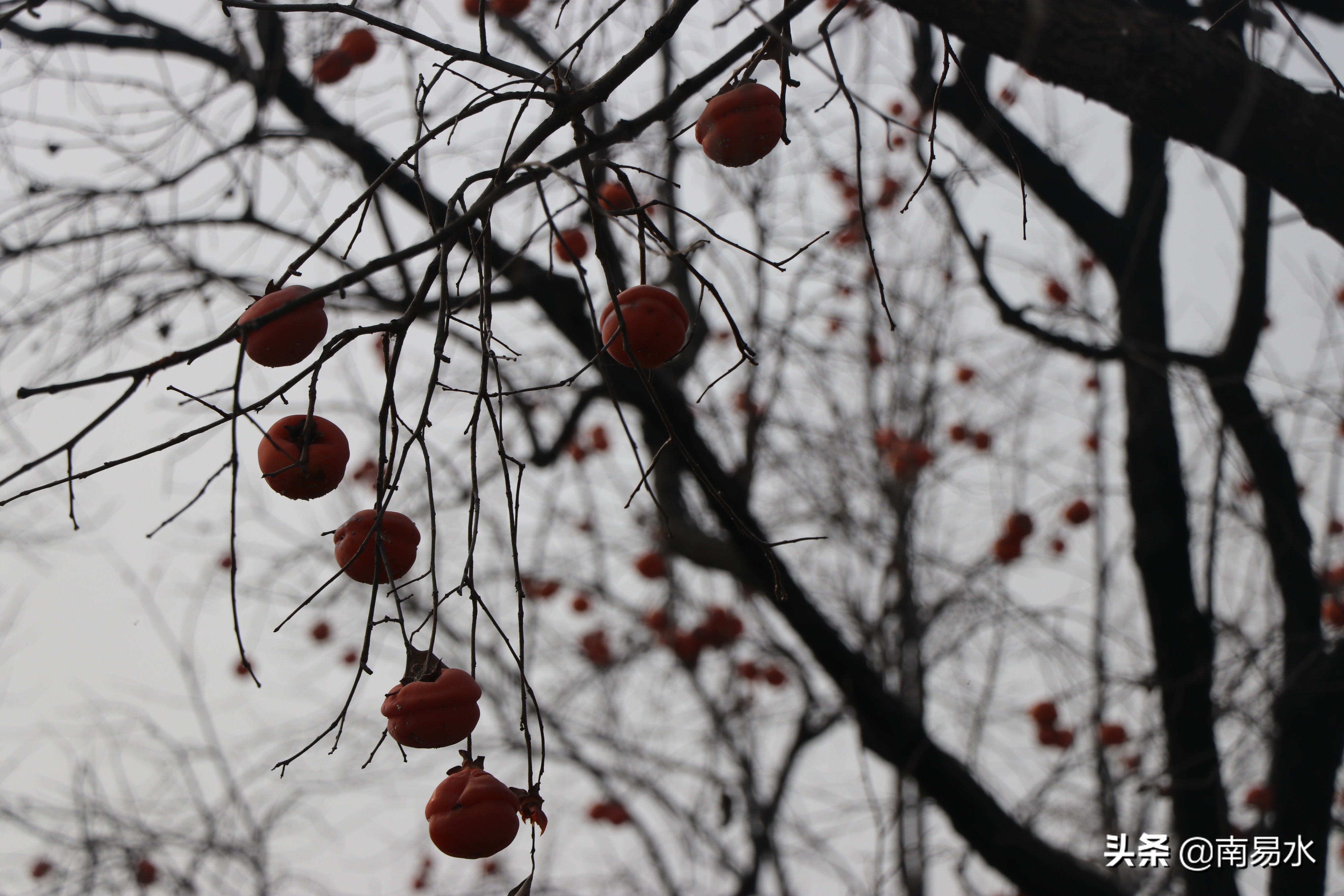 家乡风景带你一起感受自然的味道,令你难以忘怀的家乡的味道