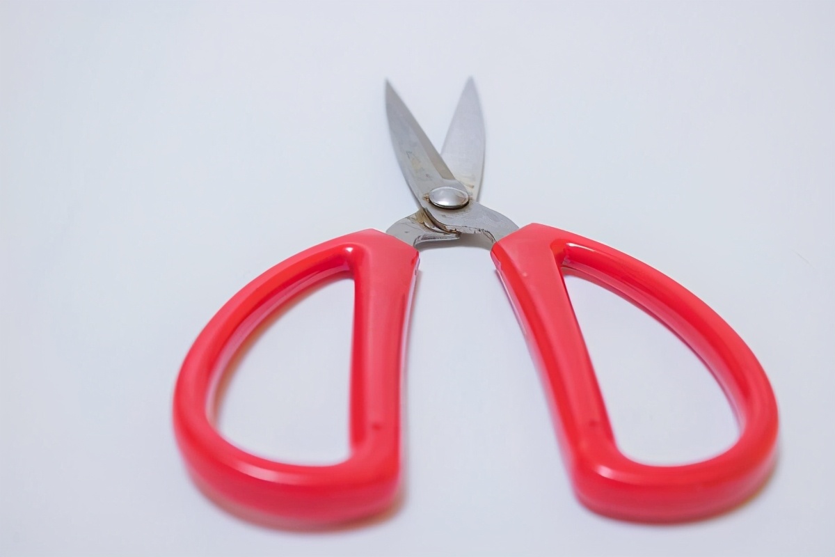 窜出来的鼻毛能剪吗,不小心把鼻毛揪下来会怎么样