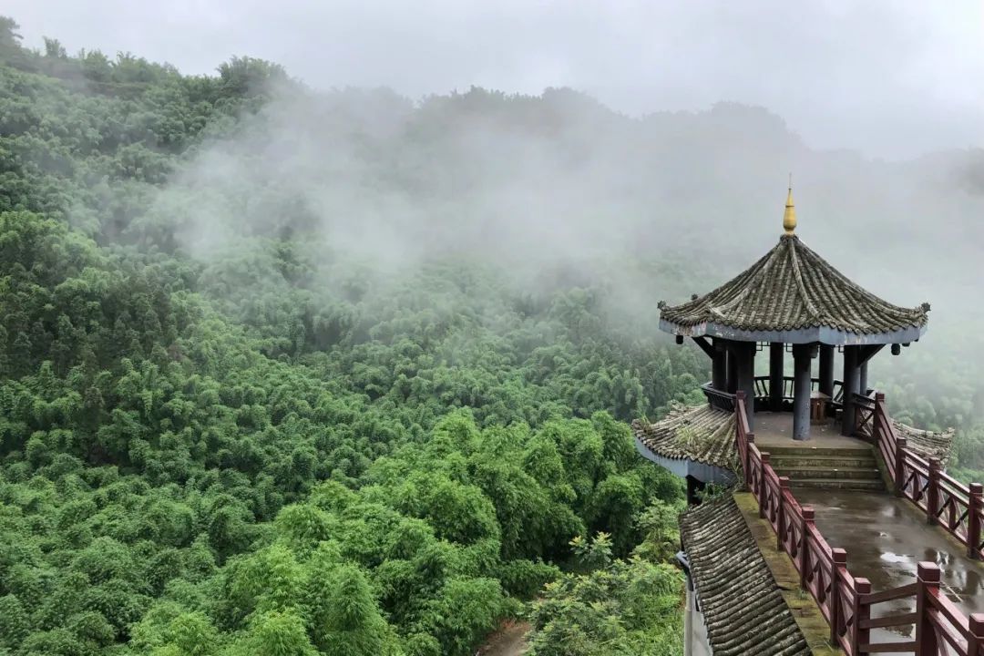 沐川竹海看雪,沐川竹海游玩视频