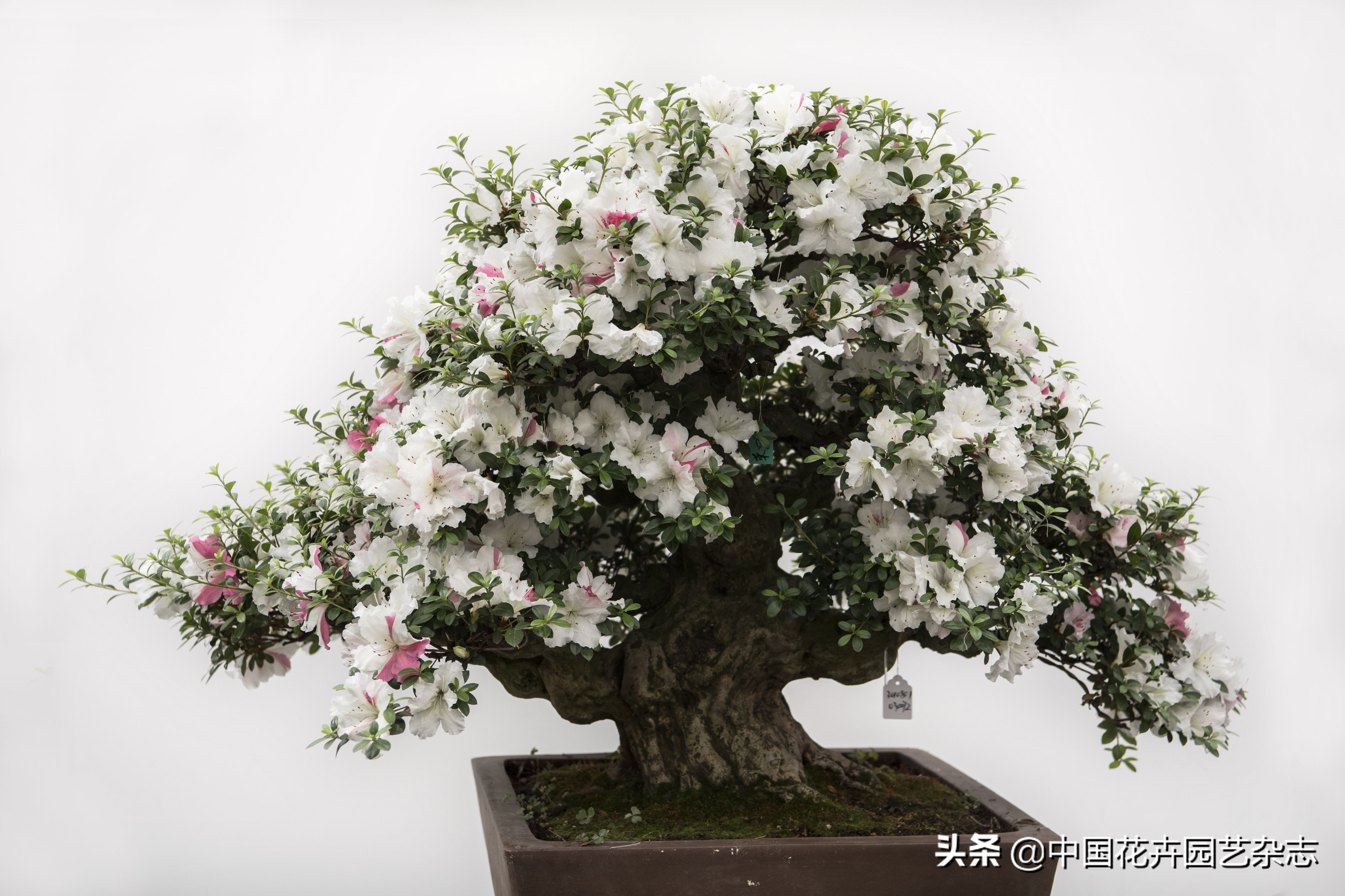 一等奖征文名单,一等奖征文欣赏