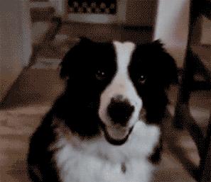 妈妈不得错过的接种疫苗小知识,关于乙肝疫苗接种知识