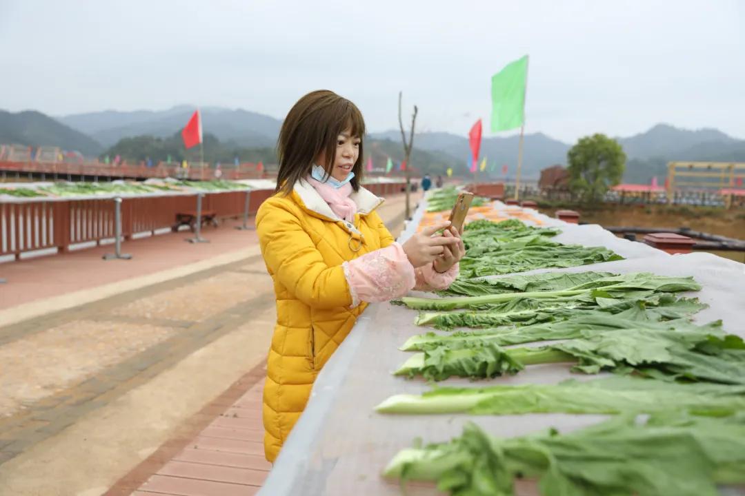 【谁不说咱家乡美】美丽中国，“乡”约万安（河西片）