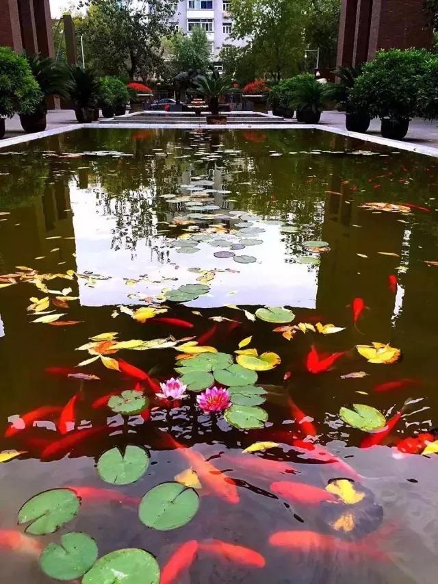 天津市耀华中学冯耀忠,天津市耀华中学招聘
