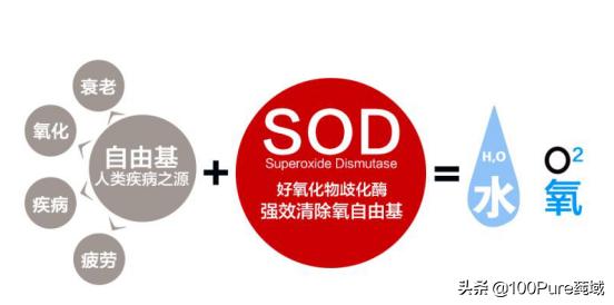 支付宝里种的树是真实存在的吗,支付宝种树真的给你种下了树吗